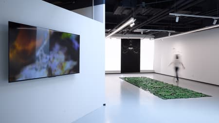 Yue & Yue: Yue Art Museum + Yue Equestrian Hall